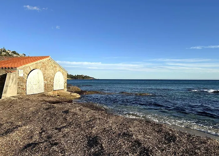 Calme Avec Climatisation, Terrasse Et Parking Au Lavandou - Fr-1-251-856 Lägenhet *